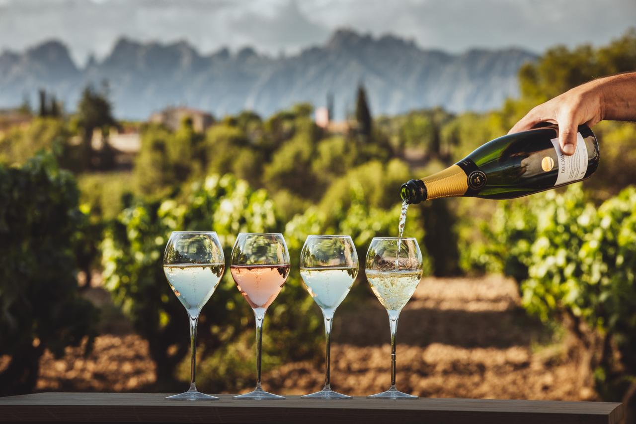 日本食と100%オーガニック生産のカバ・デ・グアルダ・スペリオールのベストマッチングとは